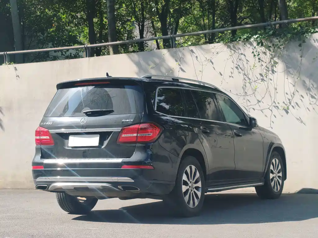 Mercedes-Benz GLS 2018 — фото 4
