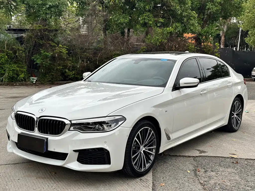 BMW 5 Series 2020 — фото 1