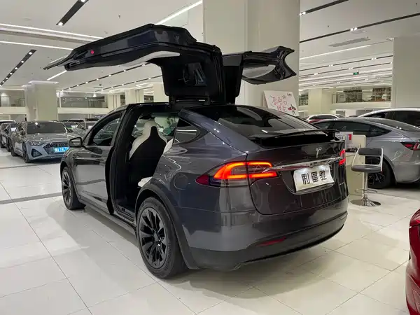 Tesla Model X 2019