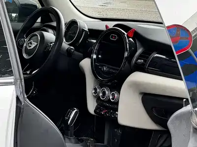 MINI MINI 2020