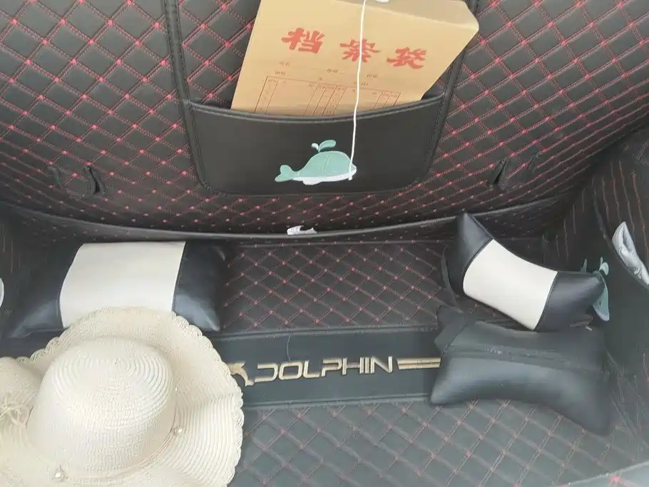 BYD Dolphin 2022