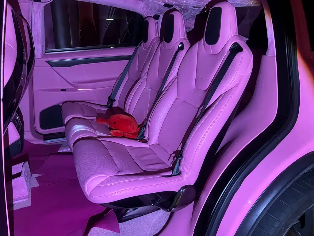 Tesla Model X 2016 — фото 9