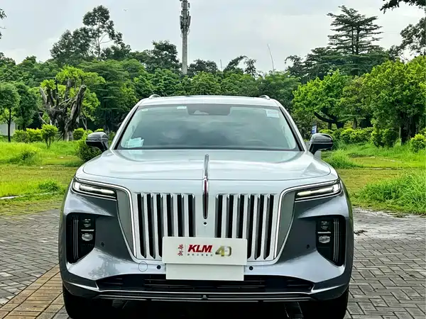 Hongqi E-HS9 2023