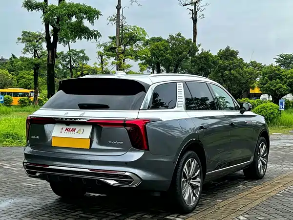 Hongqi E-HS9 2023