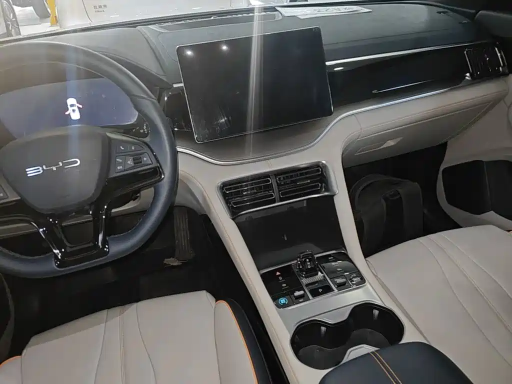 BYD PLUS New Energy 2024 — фото 13