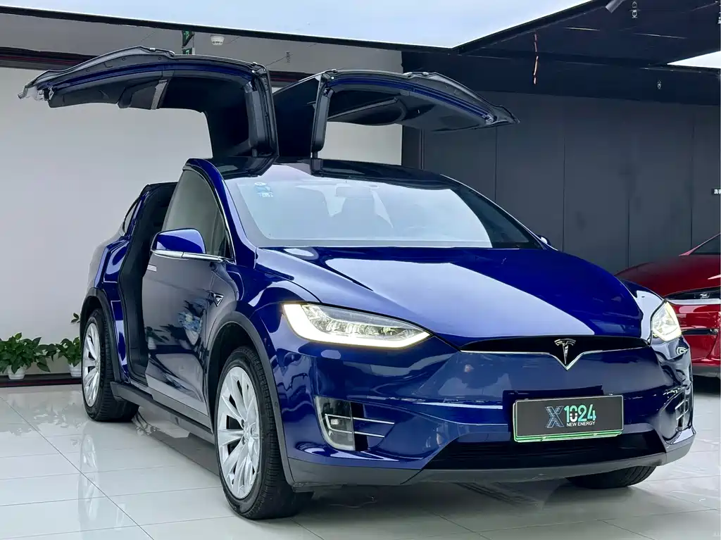 Tesla Model X 2020 — фото 3