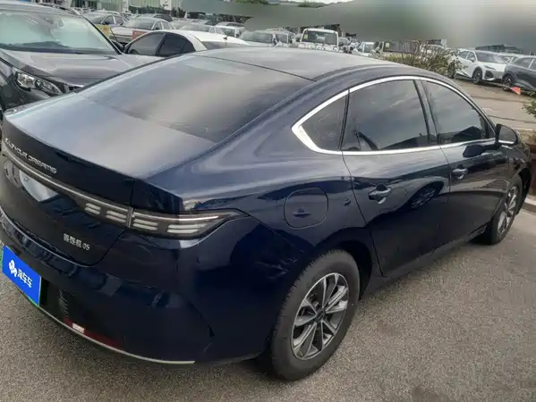 BYD Destroyer 05 2024