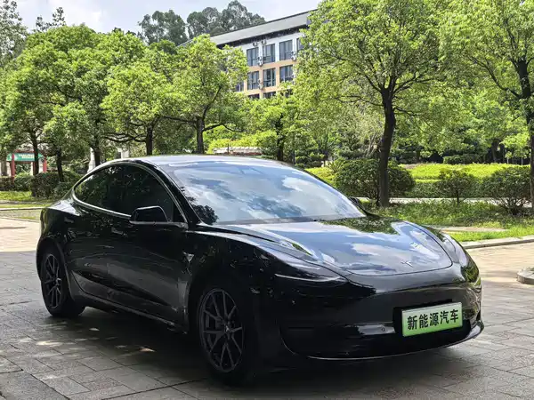 Tesla Model 3 2020