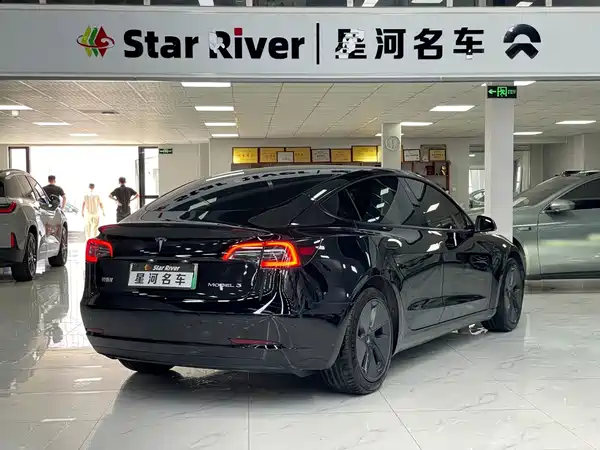 Tesla Model 3 2021