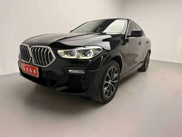 BMW X6 2021