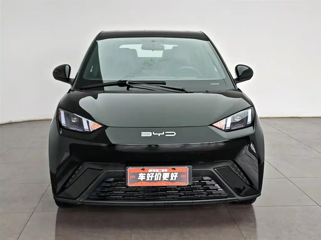 BYD Seagull 2024