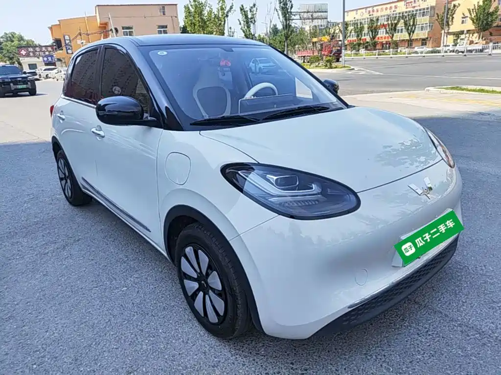 Wuling Bingo 2024
