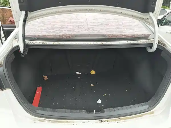 Hyundai Celesta 2017