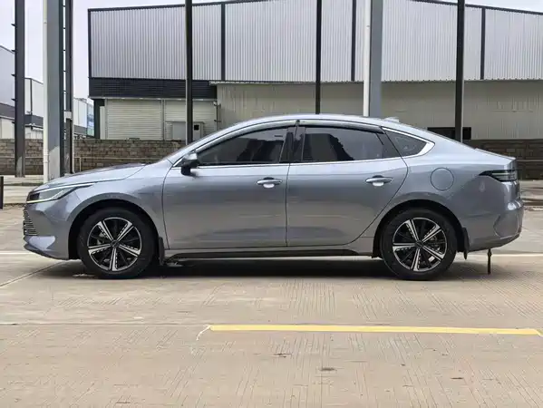 BYD Destroyer 05 2024
