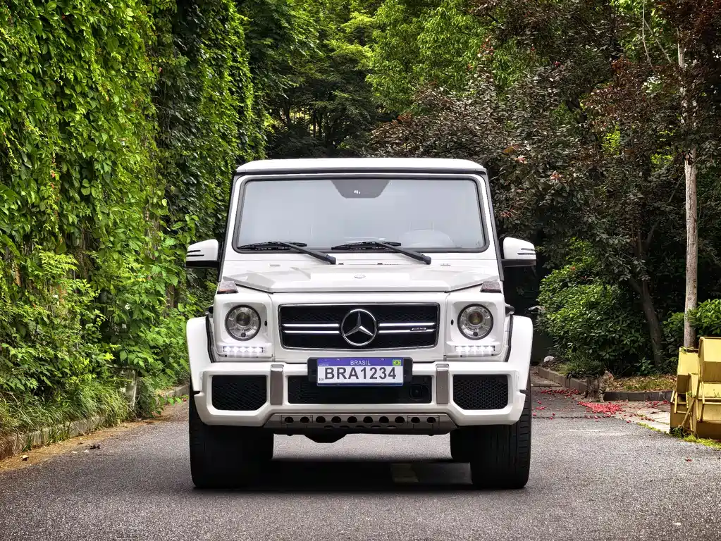 Mercedes-Benz G-Class AMG 2017 — фото 2
