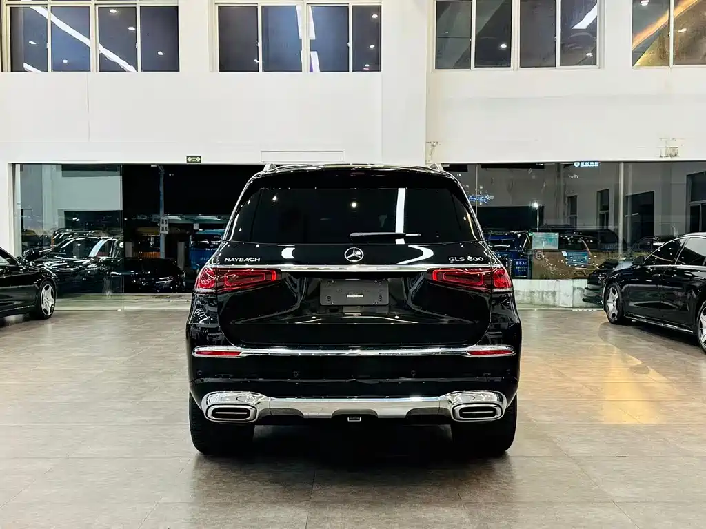 Mercedes-Benz Maybach GLS 2021 — фото 5