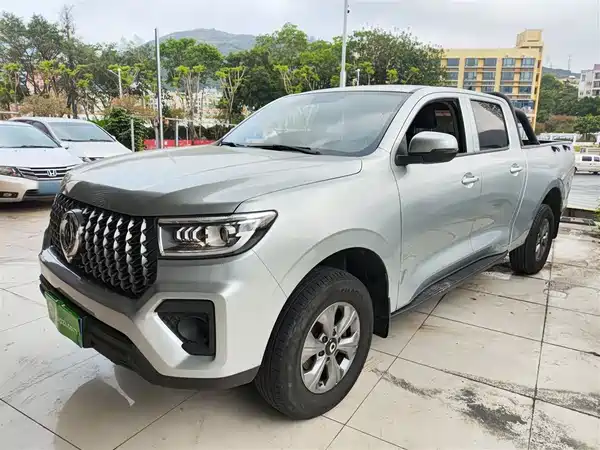 Great Wall Poer 2023