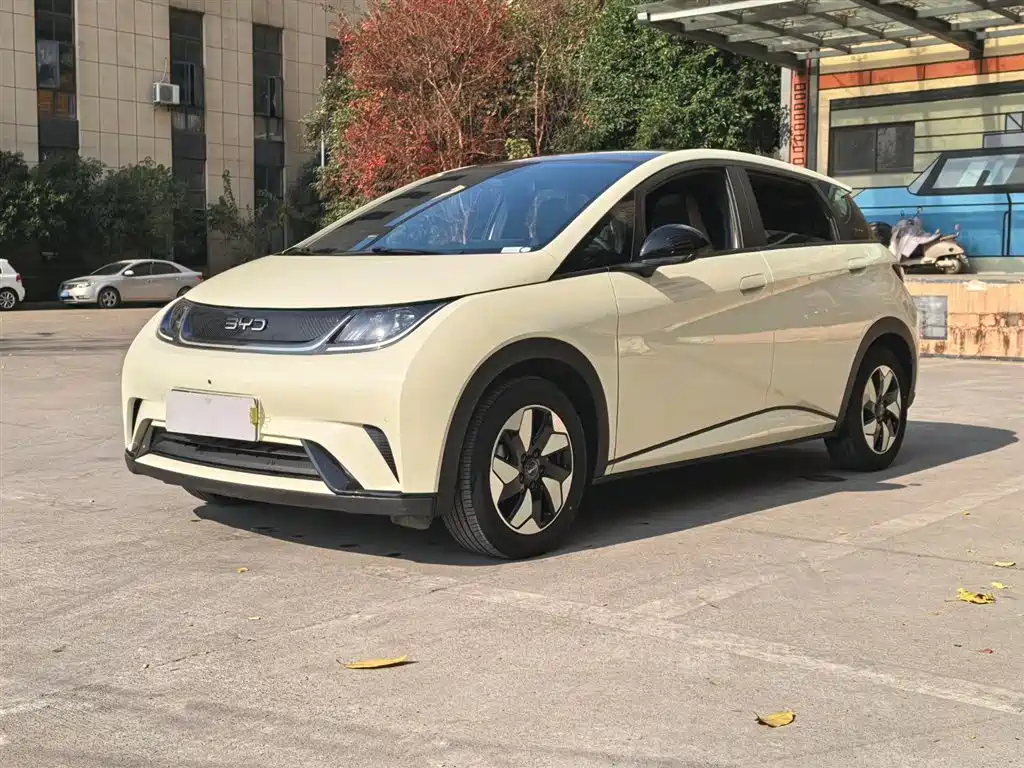 BYD Dolphin 2024