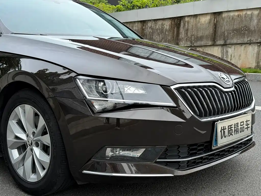 Skoda Speedy 2017