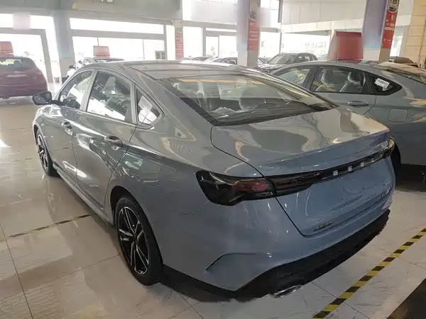 Geely Binrui 2024