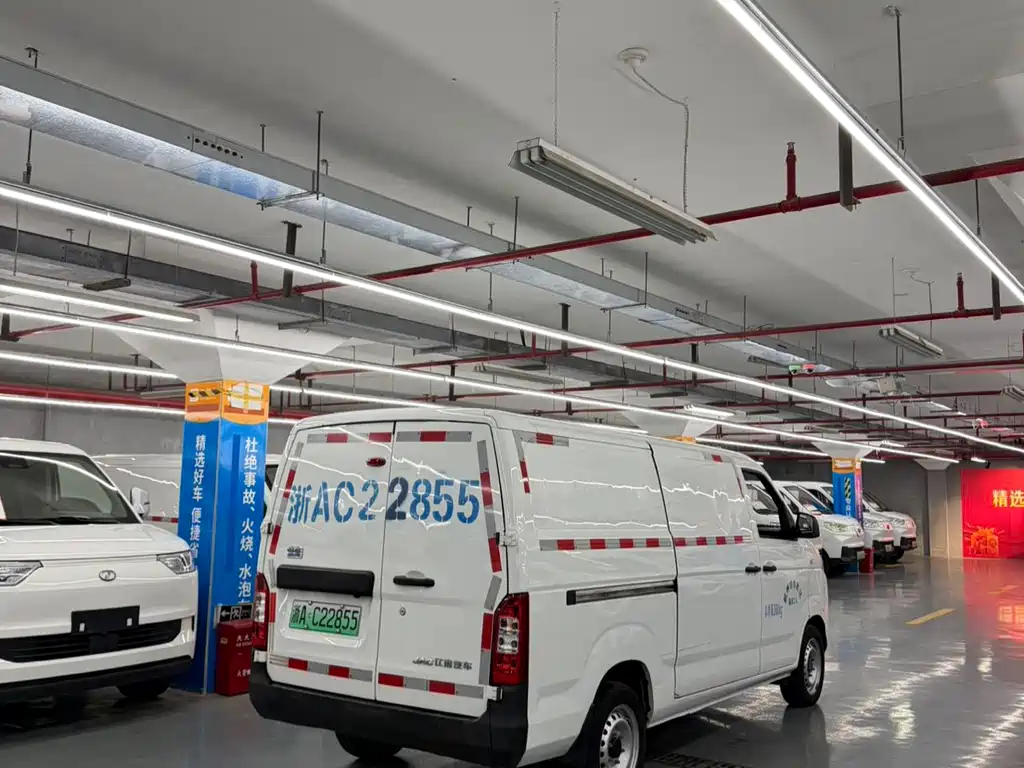 JAC Bluecat 2024