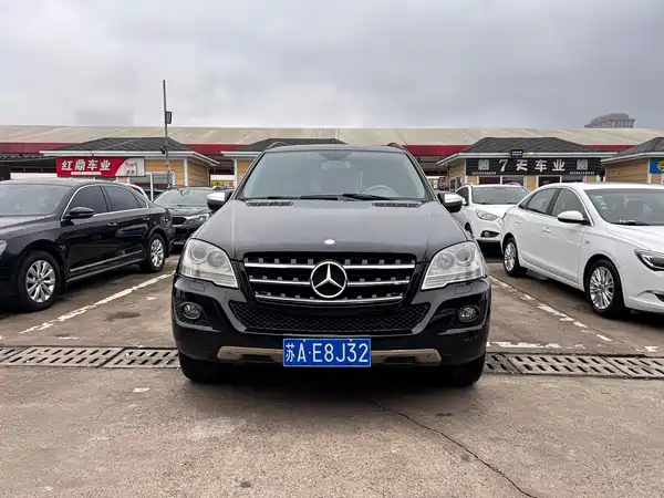 Mercedes-Benz M-Class 2010