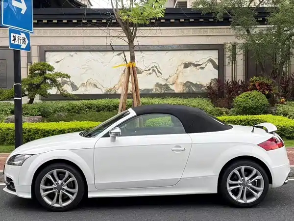 Audi TTS 2015