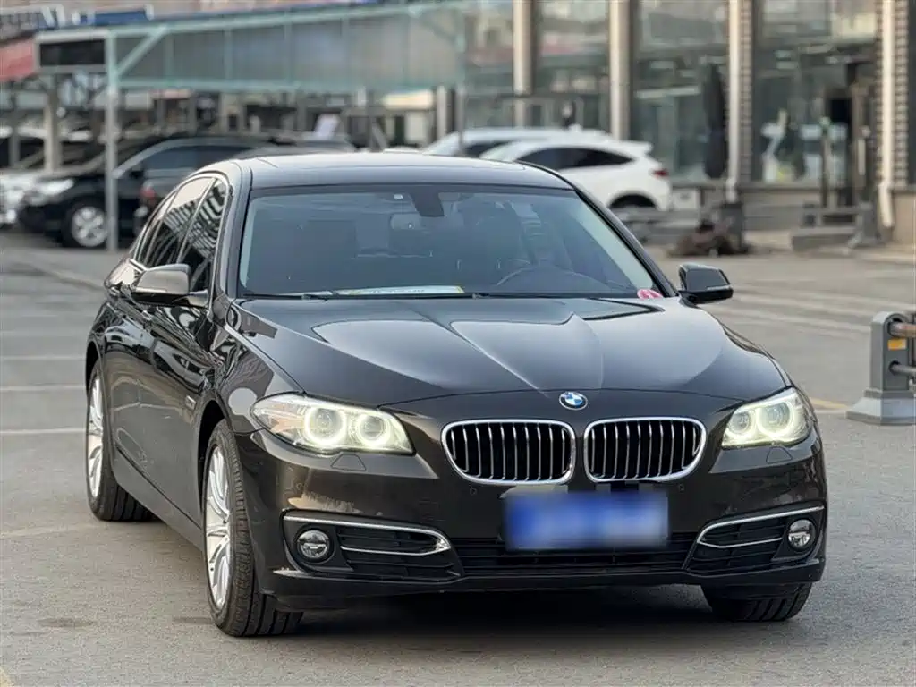 BMW 5 Series 2016 — фото 23