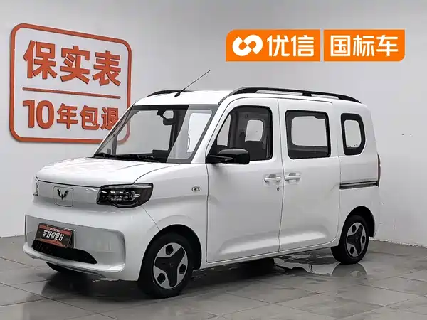 Wuling Zhiguang New Energy 2025