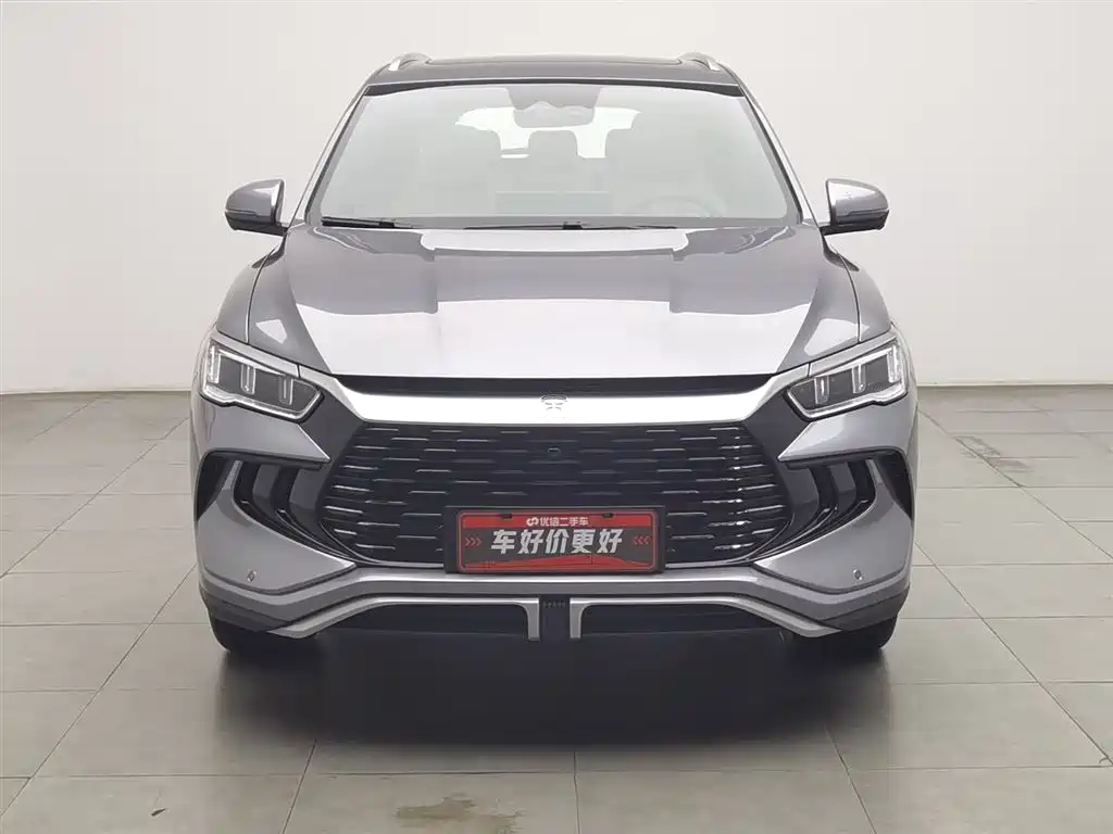 BYD Pro New Energy 2024 — фото 3