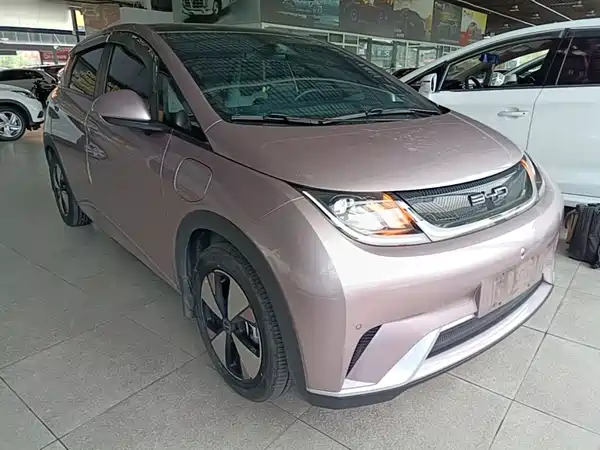 BYD Dolphin 2024