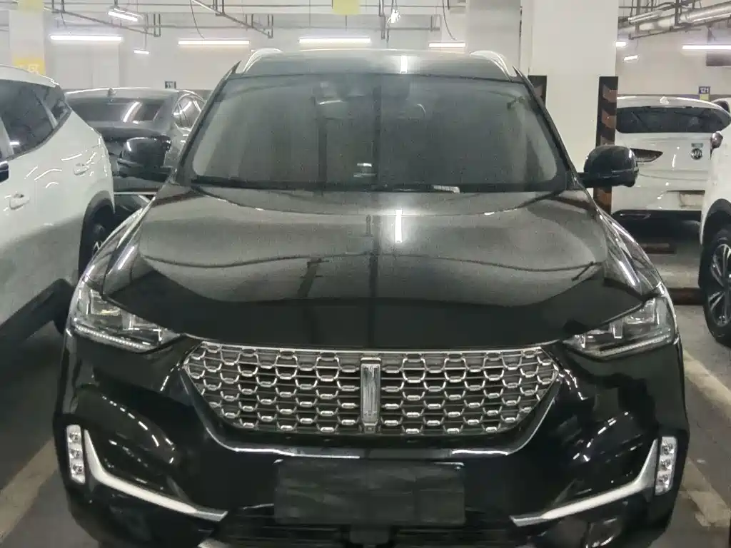 Wey VV6 2020