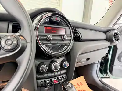 MINI MINI 2015