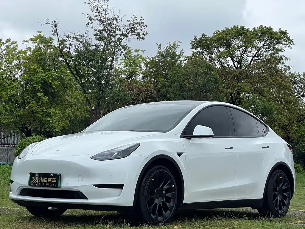 Tesla Model Y 2023 — фото 1