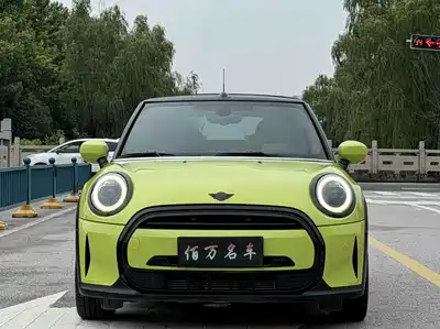 MINI MINI 2022