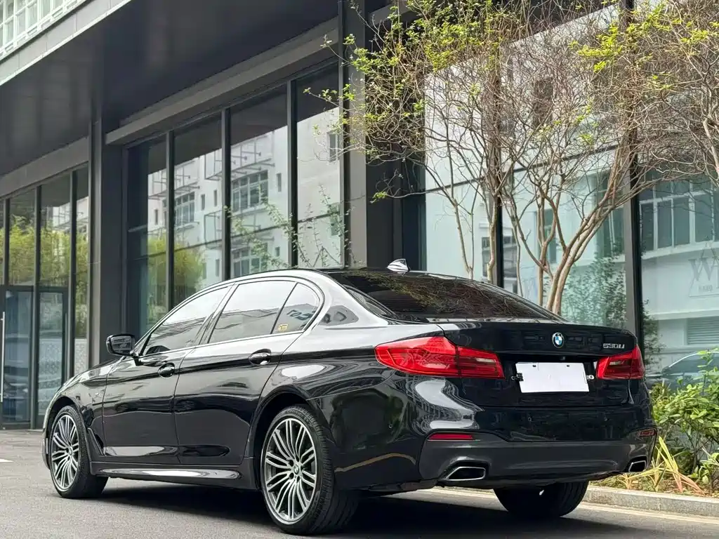 BMW 5 Series 2018 — фото 14