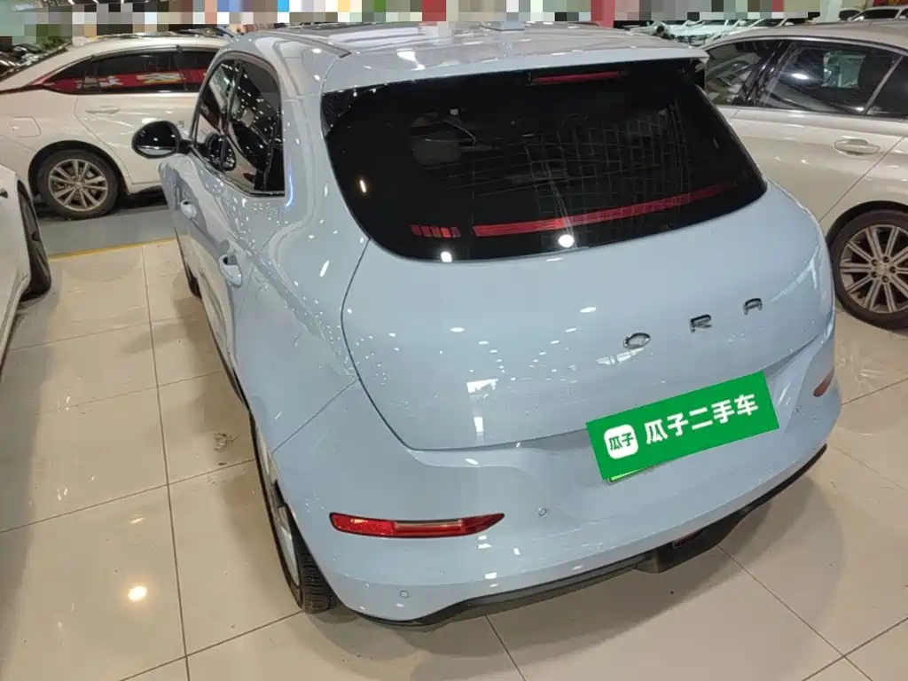 Ora Good Cat 2024