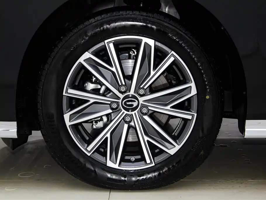 GAC Motor Trumpchi M8 2026 — фото 12