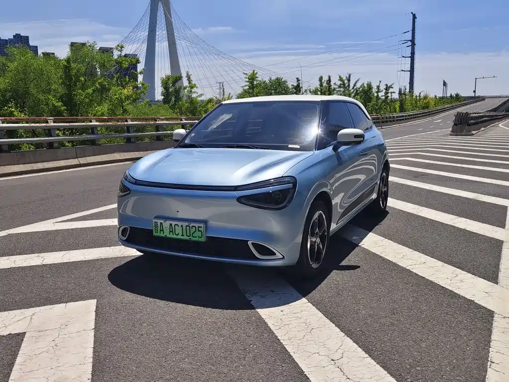 Dongfeng Nano 01 2024