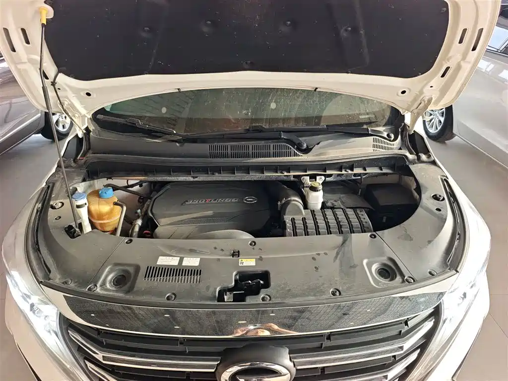 GAC Motor Trumpchi M8 2021 — фото 20