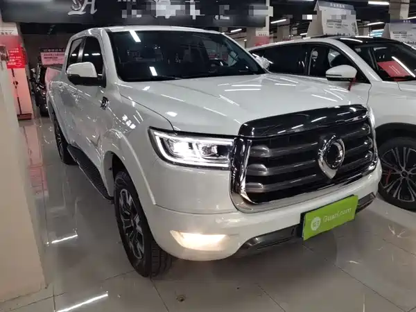 Great Wall Poer 2021