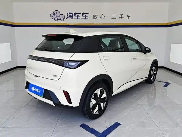 BYD Dolphin 2026