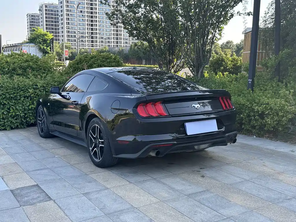 Ford Mustang 2019 — фото 8