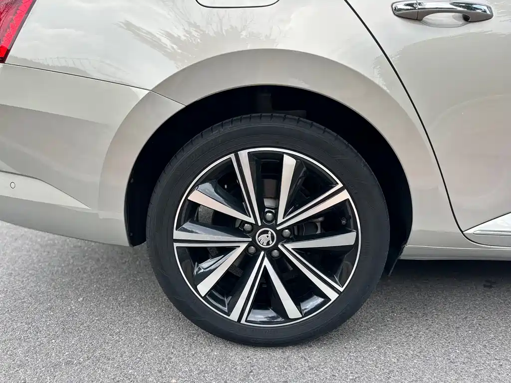 Skoda Speedy 2023 — фото 16