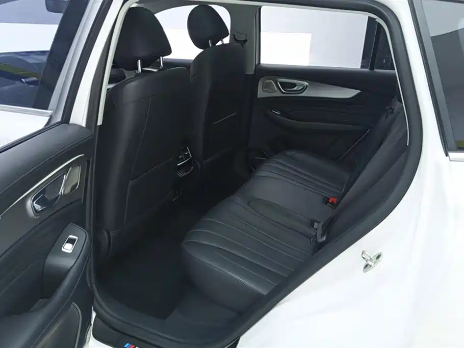 Roewe RX5 MAX 2020 — фото 11