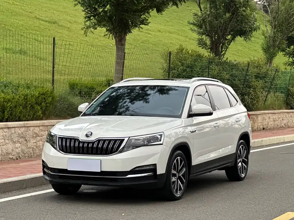 Skoda Kamiq 2022