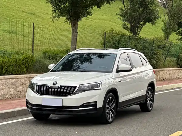 Skoda Kamiq 2022