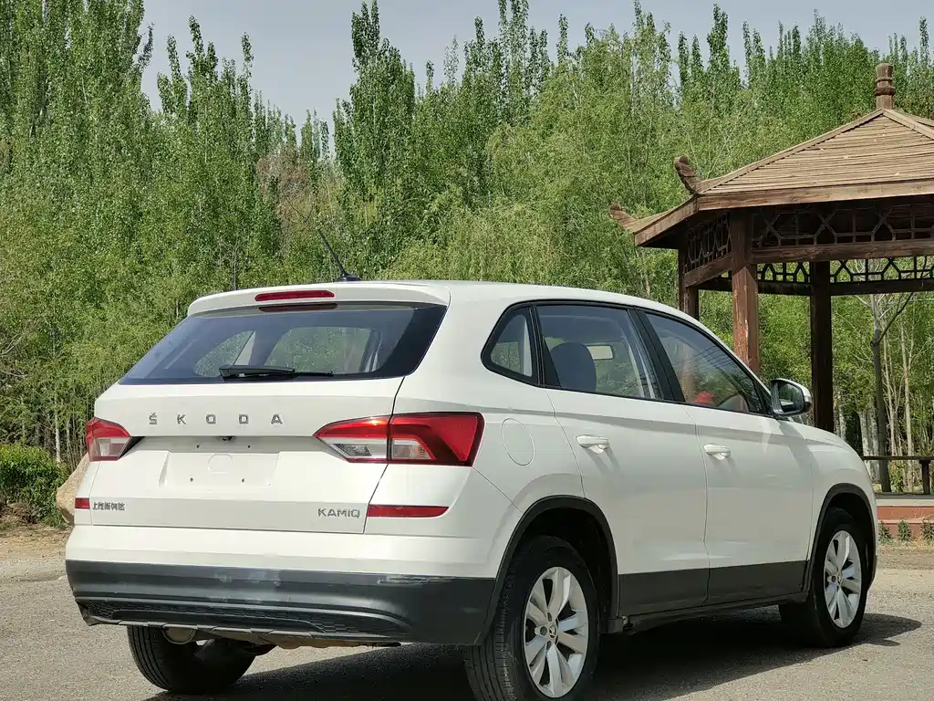 Skoda Kamiq 2020 — фото 9