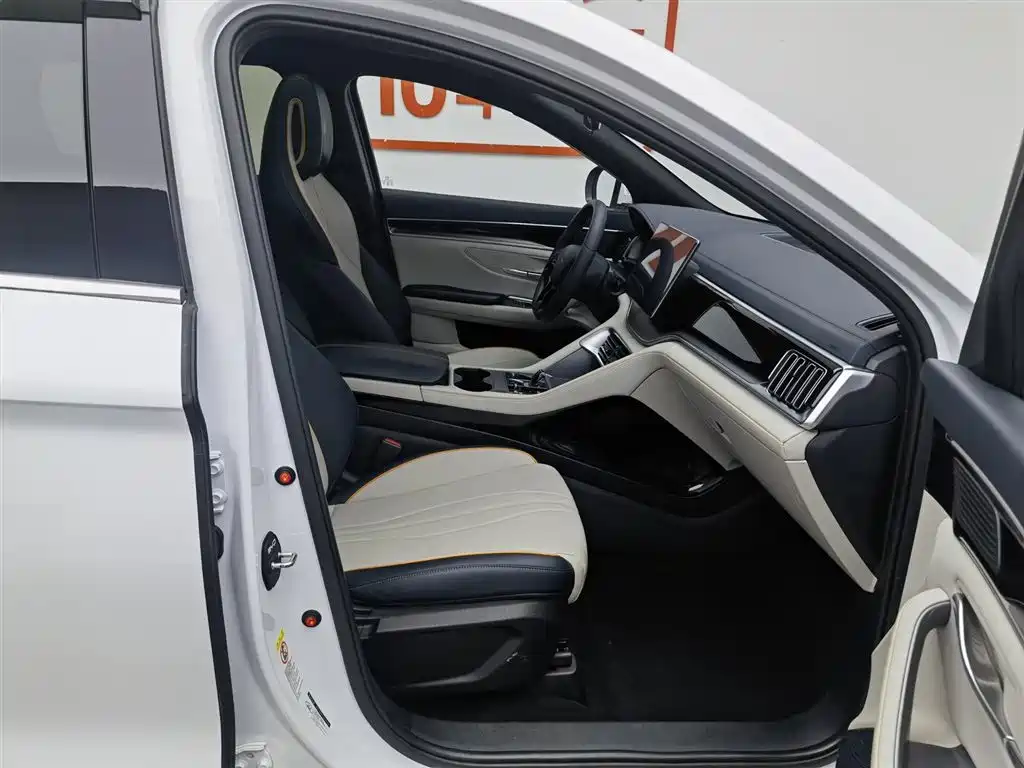 BYD PLUS New Energy 2024 — фото 23