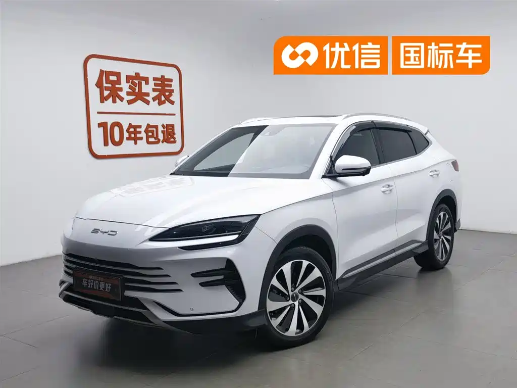 BYD PLUS New Energy 2024 — фото 1
